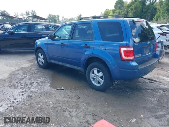 ✅ 2010 Ford Escape XLT • VIN: 1FMCU0D70AKB41824 • Lot: 43263123. Wystawiony na IAAI z przebiegiem 121 884 mil. Bezpłatny archiwum sprzedaży aukcyjnych z USA i szczegółowy raport historii pojazdu na DreamBid. Zdjęcie 3.