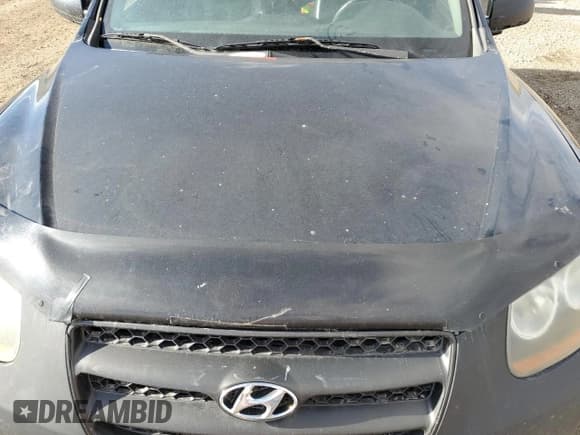 ✅ 2007 Hyundai Santa Fe GL 5Pass • VIN: 5NMSG13E37H084262 • Lot: 85652495. Listed on Copart with Not provided. Free auction sales archive from the USA and detailed vehicle history report at DreamBid. Image 12.