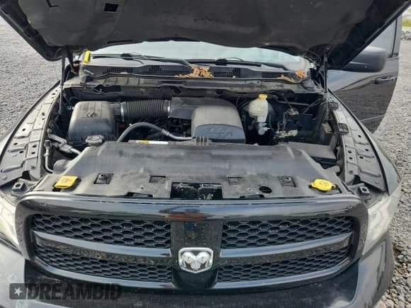 ✅ 2013 Ram 1500 SLT • VIN: 1C6RR6LG7DS540729 • Лот: 86823505. Опубликован ранее на Copart с пробегом 200 841 миль. Бесплатный доступ к архиву аукционных продаж из США и подробный отчёт об истории автомобиля на DreamBid. Изображение 11.