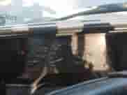 ✅ 1997 GMC Sierra 1500 • VIN: 1GTEC19M1VE524695 • Лот: 43552092. Размещён на IAAI с пробегом 215 857 миль миль. Получите бесплатный доступ к архиву аукционных продаж из США и посмотрите подробный отчёт об истории автомобиля на DreamBid. Изображение 7.