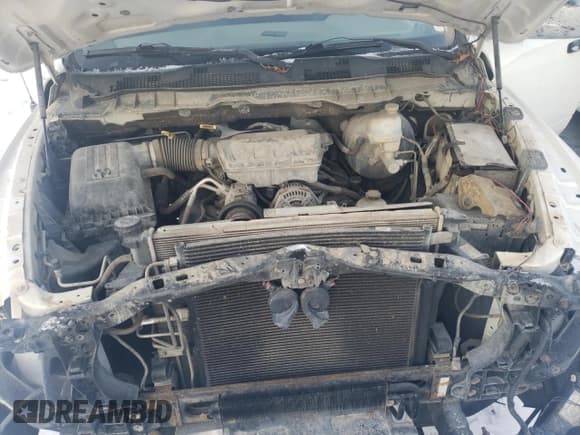 ✅ 2009 Dodge 1500 TRX • VIN: 1D3HV18P09S805582 • Lot: 89171185. Wystawiony na Copart z przebiegiem 227 449 mil. Bezpłatny archiwum sprzedaży aukcyjnych z USA i szczegółowy raport historii pojazdu na DreamBid. Zdjęcie 11.