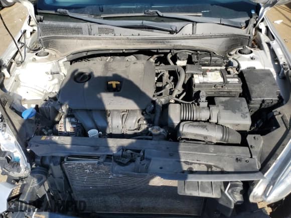 ✅ 2019 Kia Forte LXS • VIN: 3KPF24ADXKE119553 • Lot: 92656485. Listed on Copart with 134,285 mi. Free auction sales archive from the USA and detailed vehicle history report at DreamBid. Image 11.