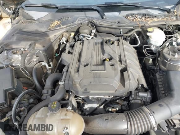 ✅ 2016 Ford Mustang EcoBoost • VIN: 1FA6P8TH3G5250826 • Lot: 41601179. Listed on IAAI with 125,277 mi. Free auction sales archive from the USA and detailed vehicle history report at DreamBid. Image 10.