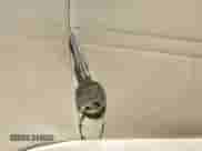 2004 Hyundai Sonata GLS с VIN KMHWF35H84A049046, выставлен на аукционе IAAI как лот 42071777 с пробегом 158 148 миль миль и . История ставок и продаж доступна на DreamBid. Изображение 11.