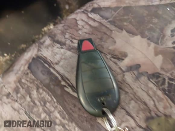 ✅ 2010 Dodge 1500 TRX • VIN: 1D7RV1GT8AS207536 • Lot: 42571772. Wystawiony na IAAI z przebiegiem Nie podano. Bezpłatny archiwum sprzedaży aukcyjnych z USA i szczegółowy raport historii pojazdu na DreamBid. Zdjęcie 11.