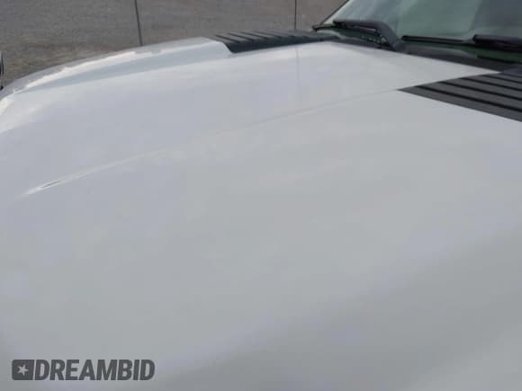 ✅ 2011 Chevrolet Silverado 2500HD Work Truck • VIN: 1GC0CVCG2BF245251 • Lot: 41576200. Wystawiony na IAAI z przebiegiem 111 017 mil. Bezpłatny archiwum sprzedaży aukcyjnych z USA i szczegółowy raport historii pojazdu na DreamBid. Zdjęcie 17.