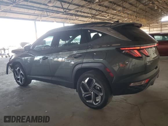 ✅ 2024 Hyundai Tucson Limited • VIN: KM8JECD11RU177393 • Lot: 75899294. Wystawiony na Copart z przebiegiem 4 901 mil. Bezpłatny archiwum sprzedaży aukcyjnych z USA i szczegółowy raport historii pojazdu na DreamBid. Zdjęcie 2.