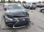 ✅ 2022 Lexus ES 300h • VIN: 58ADA1C12NU013605 • Lot: 43685343. Listed on IAAI with 55,344 mi. Free auction sales archive from the USA and detailed vehicle history report at DreamBid. Image 12.