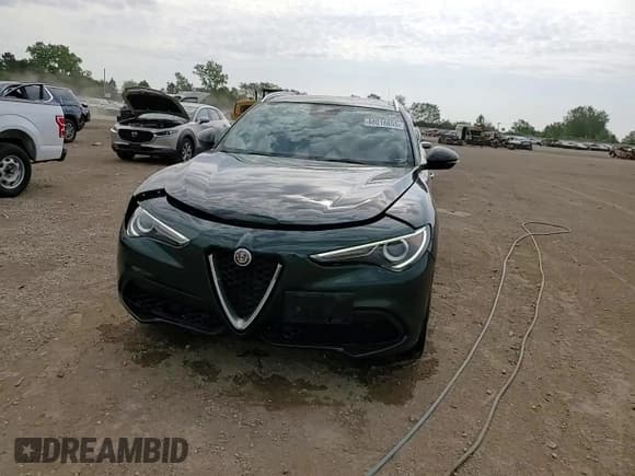 ✅ 2019 Alfa Romeo Stelvio Ti Sport • VIN: ZASPAKBN3K7C30892 • Lot: 68016655. Wystawiony na Copart z przebiegiem 43 106 mil. Bezpłatny archiwum sprzedaży aukcyjnych z USA i szczegółowy raport historii pojazdu na DreamBid. Zdjęcie 13.