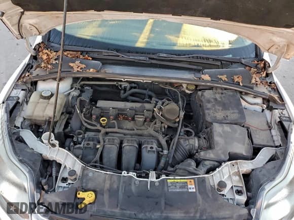 ✅ 2013 Ford Focus SE • VIN: 1FADP3K29DL104753 • Lot: 94270925. Wystawiony na Copart z przebiegiem 165 719 mil. Bezpłatny archiwum sprzedaży aukcyjnych z USA i szczegółowy raport historii pojazdu na DreamBid. Zdjęcie 11.