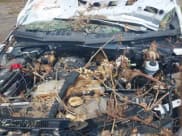 ✅ 2015 Ford F-150 XLT • VIN: 1FTEW1E86FFA81911 • Lot: 42621418. Listed on IAAI with Not provided. Free auction sales archive from the USA and detailed vehicle history report at DreamBid. Image 10.