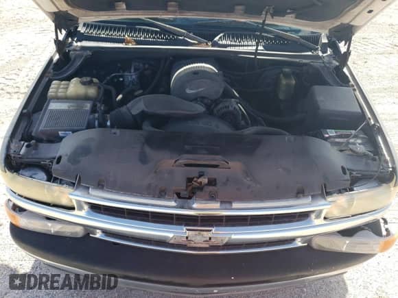 2002 Chevrolet Silverado 1500 with VIN 1GCEC19T52E273182, listed as a Copart auction lot 67066404 with 317,757 mi miles and Non repairable. Bid and sale history available at DreamBid. Image 11.