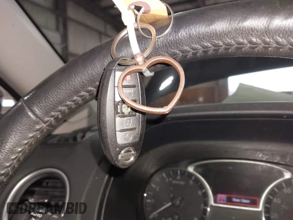 ✅ 2019 Nissan Pathfinder S • VIN: 5N1DR2MMXKC595274 • Lot: 43751298. Listed on IAAI with 106,868 mi. Free auction sales archive from the USA and detailed vehicle history report at DreamBid. Image 11.