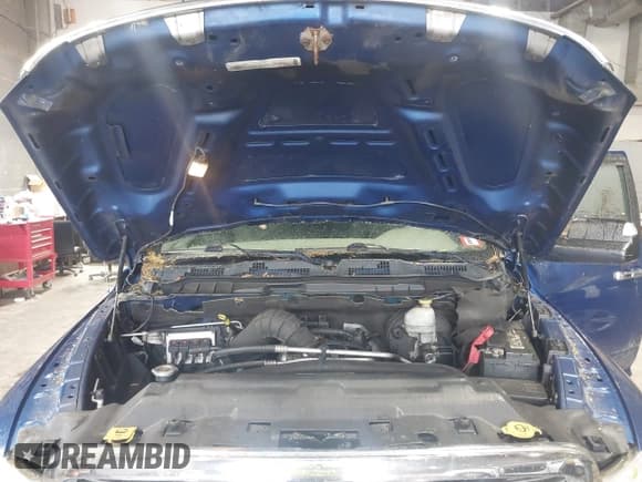 ✅ 2010 Dodge 1500 TRX • VIN: 1D7RV1GT0AS193874 • Lot: 42211871. Wystawiony na IAAI z przebiegiem 219 361 mil. Bezpłatny archiwum sprzedaży aukcyjnych z USA i szczegółowy raport historii pojazdu na DreamBid. Zdjęcie 10.