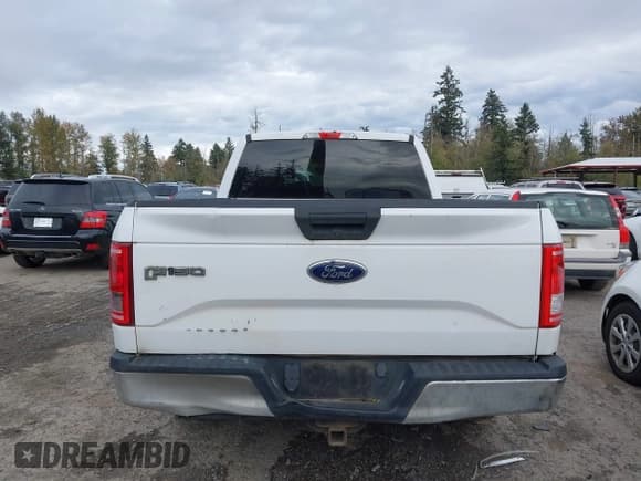 ✅ 2017 Ford F-150 XL • VIN: 1FTEX1C8XHKD90131 • Lot: 43566875. Listed on IAAI with 141,923 mi. Free auction sales archive from the USA and detailed vehicle history report at DreamBid. Image 16.