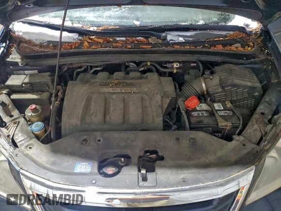 ✅ 2009 Honda Odyssey LX • VIN: 5FNRL38239B058933 • Lot: 95345485. Listed on Copart with 193,354 mi. Free auction sales archive from the USA and detailed vehicle history report at DreamBid. Image 12.