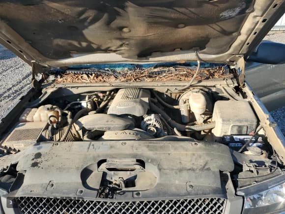 ✅ 2003 Chevrolet Silverado 1500 Work Truck • VIN: 1GCEC14V83Z253317 • Lot: 70413845. Listed on Copart with 234,363 mi. Free auction sales archive from the USA and detailed vehicle history report at DreamBid. Image 11.