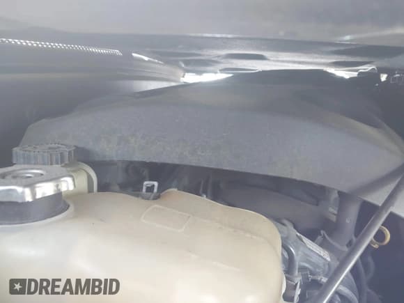 ✅ 2017 Dodge Journey Crossroad Plus • VIN: 3C4PDCGG1HT554945 • Лот: 42320590. Опубликован ранее на IAAI с пробегом 160 085 миль. Бесплатный доступ к архиву аукционных продаж из США и подробный отчёт об истории автомобиля на DreamBid. Изображение 10.