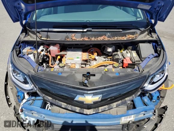 ✅ 2019 Chevrolet Bolt EV LT • VIN: 1G1FY6S09K4150079 • Lot: 59891024. Wystawiony na Copart z przebiegiem 37 292 mil. Bezpłatny archiwum sprzedaży aukcyjnych z USA i szczegółowy raport historii pojazdu na DreamBid. Zdjęcie 13.