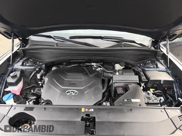 ✅ 2024 Hyundai Palisade Limited • VIN: KM8R5DGEXRU789714 • Lot: 82667194. Wystawiony na Copart z przebiegiem 6 mil. Bezpłatny archiwum sprzedaży aukcyjnych z USA i szczegółowy raport historii pojazdu na DreamBid. Zdjęcie 12.