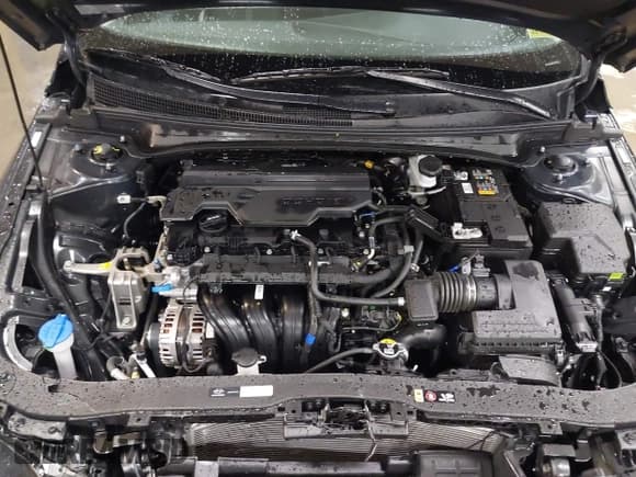 ✅ 2025 Hyundai Elantra SE • VIN: KMHLL4DG0SU945637 • Лот: 43088244. Опубликован ранее на IAAI с пробегом 11 766 миль. Бесплатный доступ к архиву аукционных продаж из США и подробный отчёт об истории автомобиля на DreamBid. Изображение 10.