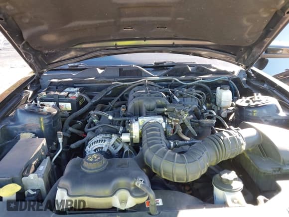 ✅ 2010 Ford Mustang V6 • VIN: 1ZVBP8AN4A5176239 • Lot: 43626473. Listed on IAAI with 138,883 mi. Free auction sales archive from the USA and detailed vehicle history report at DreamBid. Image 10.