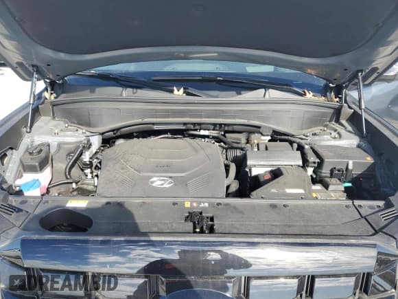 ✅ 2024 Hyundai Palisade Limited • VIN: KM8R54GE8RU673069 • Лот: 86249054. Опубликован ранее на Copart с пробегом 7 908 миль. Бесплатный доступ к архиву аукционных продаж из США и подробный отчёт об истории автомобиля на DreamBid. Изображение 11.