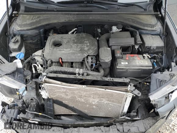 ✅ 2020 Hyundai Santa Fe SEL • VIN: 5NMS33AD3LH259377 • Lot: 51805854. Wystawiony na Copart z przebiegiem 73 281 mil. Bezpłatny archiwum sprzedaży aukcyjnych z USA i szczegółowy raport historii pojazdu na DreamBid. Zdjęcie 11.