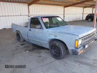 ✅ 1993 Chevrolet S-10 X96 • VIN: 1GCCS14R9P8127718 • Lot: 43098724. Listed on IAAI with 185,292 mi. Free auction sales archive from the USA and detailed vehicle history report at DreamBid. Image 1.