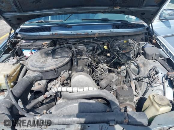 ✅ 1985 Mercedes-Benz 300 • VIN: WDBAB33C8FA204374 • Lot: 42656573. Listed on IAAI with 216,190 mi. Free auction sales archive from the USA and detailed vehicle history report at DreamBid. Image 10.