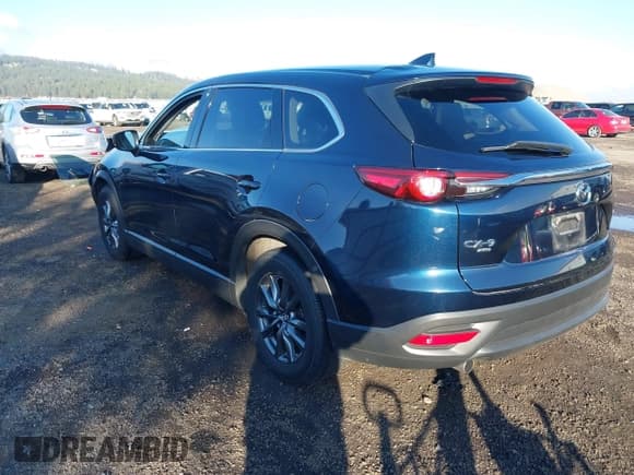 ✅ 2022 Mazda CX-9 Touring • VIN: JM3TCBCY9N0607577 • Lot: 43677429. Listed on IAAI with Not provided. Free auction sales archive from the USA and detailed vehicle history report at DreamBid. Image 3.
