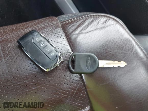 ✅ 2009 Ford F-150 XL • VIN: 1FTPW14V39FA62186 • Lot: 43203186. Listed on IAAI with 234,283 mi. Free auction sales archive from the USA and detailed vehicle history report at DreamBid. Image 11.