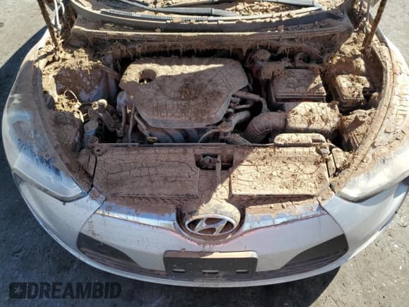 ✅ 2016 Hyundai Veloster • VIN: KMHTC6AD7GU280426 • Lot: 77609894. Wystawiony na Copart z przebiegiem Nie podano. Bezpłatny archiwum sprzedaży aukcyjnych z USA i szczegółowy raport historii pojazdu na DreamBid. Zdjęcie 12.