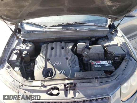 ✅ 2008 Hyundai Santa Fe GLS • VIN: 5NMSG13D58H131168 • Lot: 61591254. Listed on Copart with 224,274 mi. Free auction sales archive from the USA and detailed vehicle history report at DreamBid. Image 12.