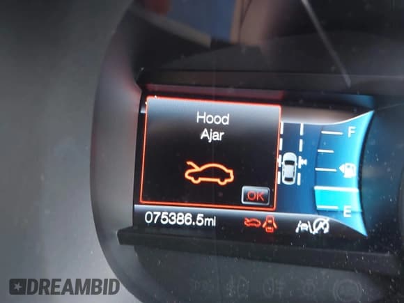 ✅ 2019 Ford Edge SEL • VIN: 2FMPK3J90KBB38688 • Лот: 43417226. Опубликован ранее на IAAI с пробегом 75 386 миль. Бесплатный доступ к архиву аукционных продаж из США и подробный отчёт об истории автомобиля на DreamBid. Изображение 7.