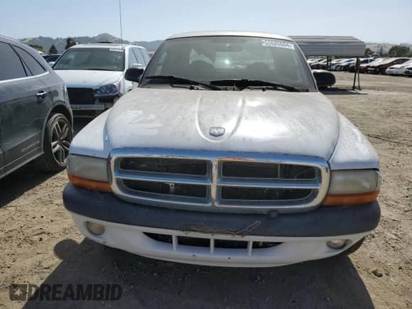 2002 Dodge Dakota SLT with VIN 1B7HL48N92S611184, listed as a Copart auction lot 55685604 with Not provided miles and Salvage title. Bid and sale history available at DreamBid. Image 5.