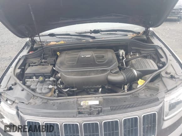 ✅ 2016 Jeep Grand Cherokee Limited 75th Anniversary • VIN: 1C4RJFBGXGC421878 • Лот: 43288276. Опубликован ранее на IAAI с пробегом 81 522 миль. Бесплатный доступ к архиву аукционных продаж из США и подробный отчёт об истории автомобиля на DreamBid. Изображение 10.