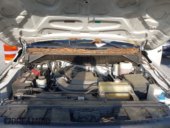 ✅ 2020 Nissan NV Cargo SV • VIN: 1N6BF0KM1LN802780 • Лот: 42458802. Опубликован ранее на IAAI с пробегом 161 205 миль. Бесплатный доступ к архиву аукционных продаж из США и подробный отчёт об истории автомобиля на DreamBid. Изображение 10.