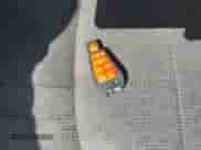 2014 Ram 1500 Big Horn with VIN 1C6RR7LM6ES398855, listed as a IAAI auction lot 42418978 with 180,591 mi miles and . Bid and sale history available at DreamBid. Image 11.