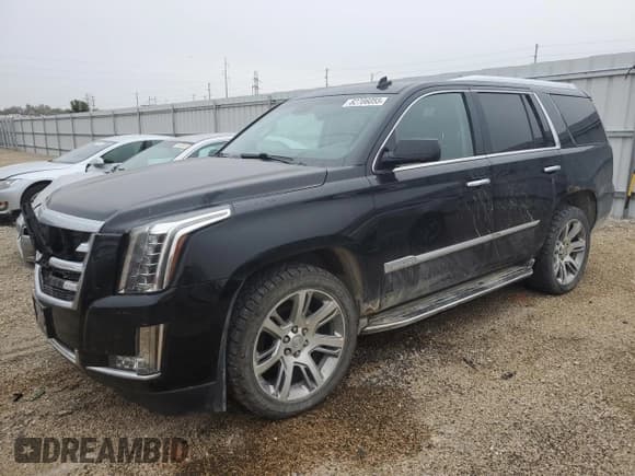 ✅ 2015 Cadillac Escalade Luxury • VIN: 1GYS4BKJ4FR233294 • Lot: 82706055. Wystawiony na Copart z przebiegiem 134 566 mil. Bezpłatny archiwum sprzedaży aukcyjnych z USA i szczegółowy raport historii pojazdu na DreamBid. Zdjęcie 1.