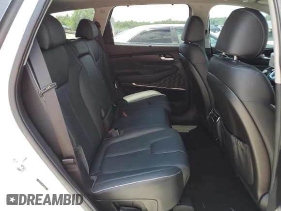 ✅ 2023 Hyundai Santa Fe Limited • VIN: 5NMS5DA19PH008097 • Lot: 58356794. Wystawiony na Copart z przebiegiem 10 590 mil. Bezpłatny archiwum sprzedaży aukcyjnych z USA i szczegółowy raport historii pojazdu na DreamBid. Zdjęcie 11.