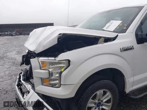 ✅ 2016 Ford F-150 XL • VIN: 1FTEX1CF9GKF01457 • Lot: 42081417. Wystawiony na IAAI z przebiegiem 94 311 mil. Bezpłatny archiwum sprzedaży aukcyjnych z USA i szczegółowy raport historii pojazdu na DreamBid. Zdjęcie 20.