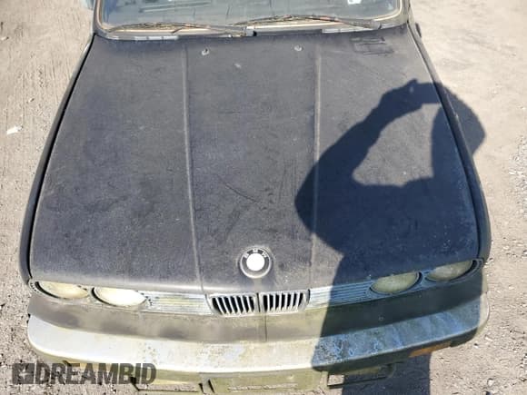 ✅ 1985 BMW 3 Series 325e • VIN: WBAAE6405F0704199 • Lot: 47845925. Wystawiony na Copart z przebiegiem 179 139 mil. Bezpłatny archiwum sprzedaży aukcyjnych z USA i szczegółowy raport historii pojazdu na DreamBid. Zdjęcie 11.