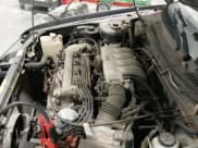 ✅ 1991 Nissan Sentra E • VIN: 1N4EB32A2MC701771 • Lot: 43669744. Listed on IAAI with 140,209 mi. Free auction sales archive from the USA and detailed vehicle history report at DreamBid. Image 12.