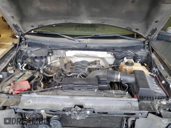 ✅ 2011 Ford F-150 XL • VIN: 1FTFW1EFXBFC07944 • Lot: 59618805. Listed on Copart with 311,003 mi. Free auction sales archive from the USA and detailed vehicle history report at DreamBid. Image 11.