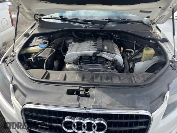 ✅ 2008 Audi Q7 Premium • VIN: WA1EY74L78D028274 • Lot: 77320954. Listed on Copart with Not provided. Free auction sales archive from the USA and detailed vehicle history report at DreamBid. Image 7.