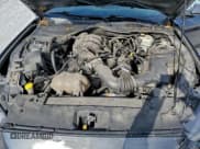 ✅ 2016 Ford Mustang V6 • VIN: 1FA6P8AM4G5255498 • Lot: 95666725. Listed on Copart with 66,877 mi. Free auction sales archive from the USA and detailed vehicle history report at DreamBid. Image 11.