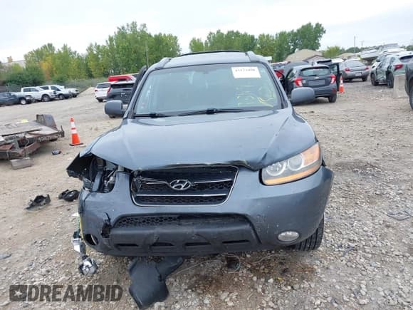 ✅ 2009 Hyundai Santa Fe Limited • VIN: 5NMSH13E39H325673 • Lot: 43173498. Listed on IAAI with 159,417 mi. Free auction sales archive from the USA and detailed vehicle history report at DreamBid. Image 13.