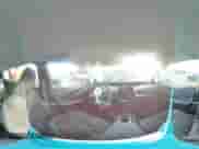 2019 Toyota Prius LE with VIN JTDKARFU7K3085277, listed as a Copart auction lot 87073105 with 24,548 mi miles and Salvage title. Bid and sale history available at DreamBid. Image 14.