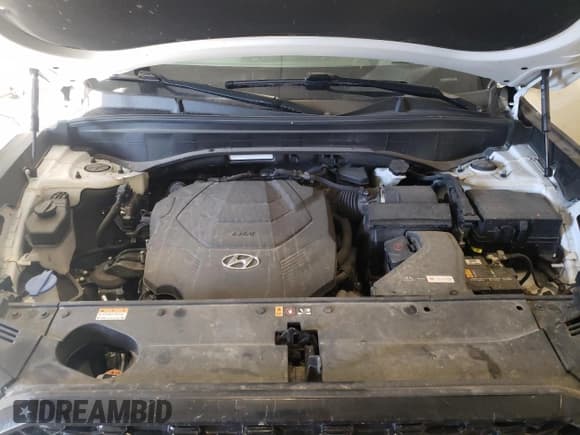 ✅ 2021 Hyundai Palisade Calligraphy • VIN: KM8R7DHE4MU301472 • Лот: 76472044. Опубликован ранее на Copart с пробегом 62 095 миль. Бесплатный доступ к архиву аукционных продаж из США и подробный отчёт об истории автомобиля на DreamBid. Изображение 12.